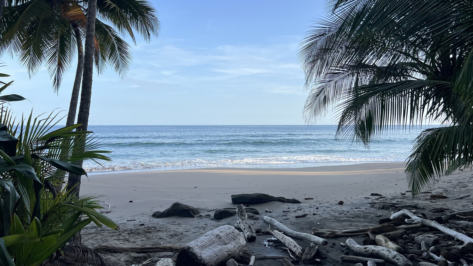 Costa Rica Nature
